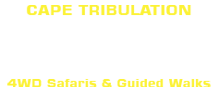 Mason's Tours