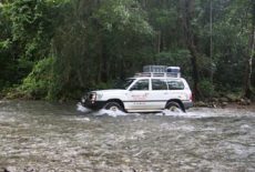4wd Safaris